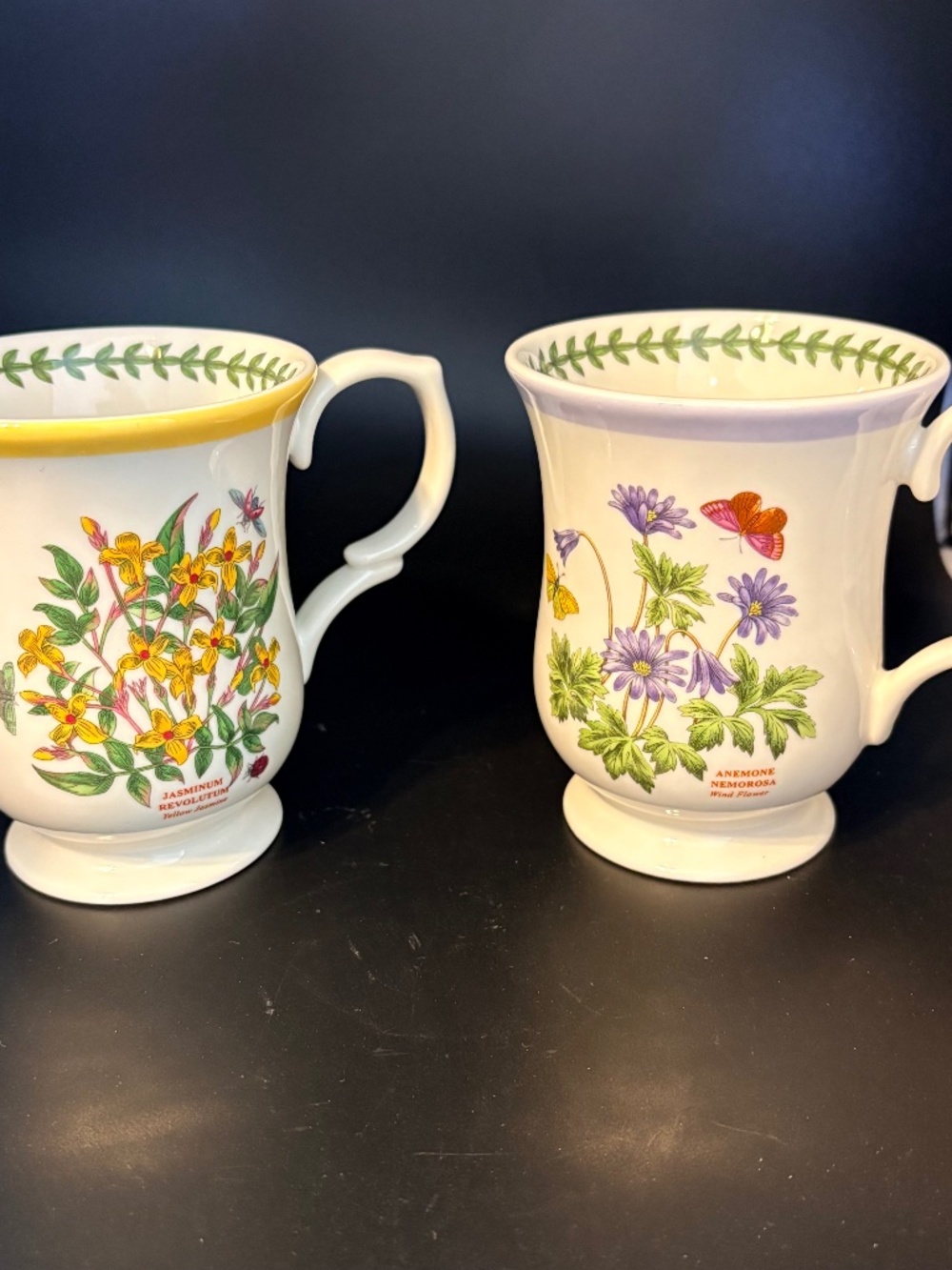 Portmeirion Botanic Garden Yellow Jasmine & Anemone Memorosa Terrace Mugs